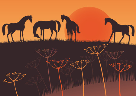 Sunset and horsesのイラスト素材