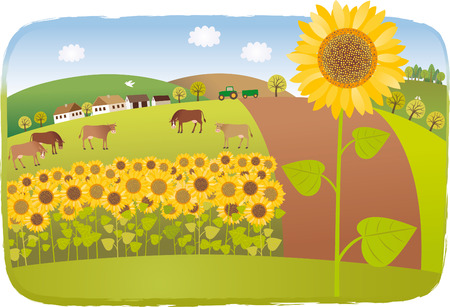 Sunflower fieldsのイラスト素材
