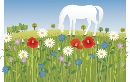 Summer meadowのイラスト素材