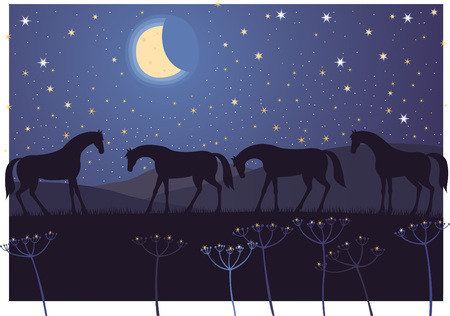 Horses resting During the night under the starry skyのイラスト素材
