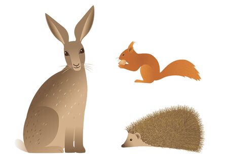 Vector image of hedgehog, squirrel and hare.のイラスト素材