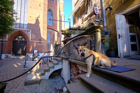 Facade sculptures in Mariaka street - Impressions from GdaÅ„sk (Danzig in German) a port city on...