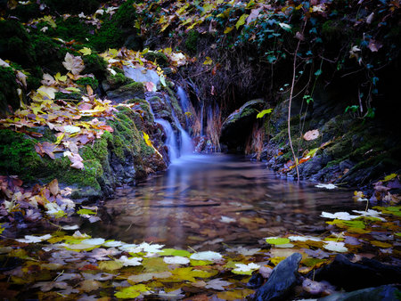 Romantic creek in a side valley of River Rhine, covered with colorfull autumn leaves and fresh green...