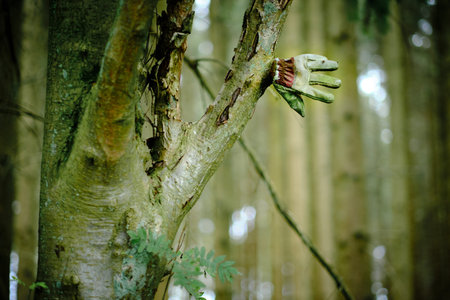 Forgotten work glove hanging on a tree in the wood in front of a blurry background