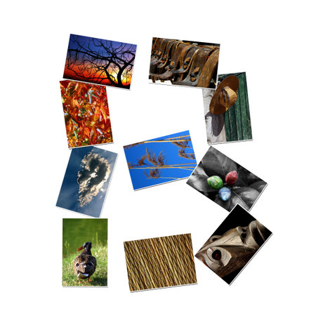 Alphabet letter made of collage photos