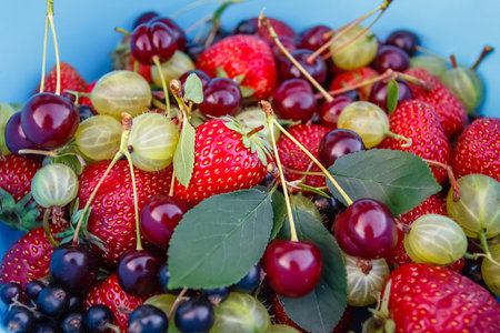 Mix of fresh and juicy berries from the summer garden in the blue dishes