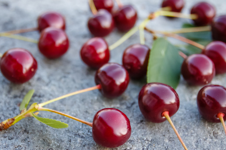 Fresh and juicy cherries just collected in the garden on a grey stoneの写真素材