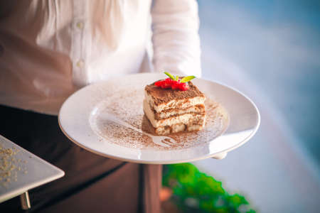 a waiter in a white shirt holds a tiramisu cake. sprinkled with cocoa, on a white plateの写真素材