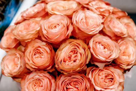 Wedding flowers, bridal bouquet closeup. Decoration made of roses, peonies and decorative plants, close-up, selective focus, nobody, objects living coralの写真素材