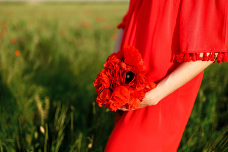 girl in a red dress holding a bouquet of red poppies on the background of the fieldの写真素材