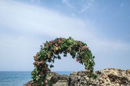 an arch of leaves, dried fruits and flowers of brachychiton against the background of the sea and sky in blurの写真素材