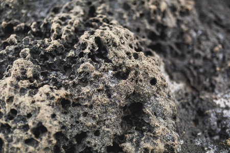 stone texture on the seashore close upの写真素材