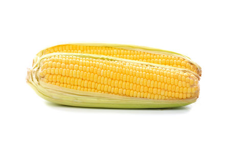 Corn on white backgroundの写真素材