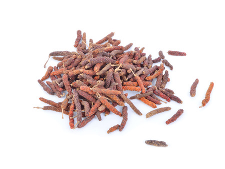the long pepper, genus Piperの写真素材