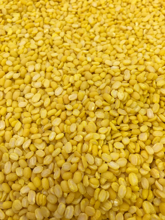 peeled split mung beanの写真素材