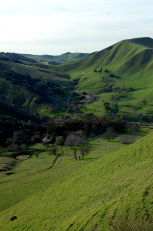 Black Diamond Mines trail from above