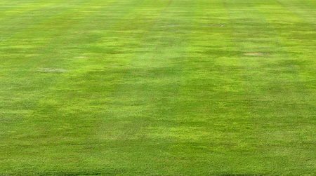 Green grass in soccer field backgroundの写真素材