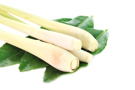 Fresh Lemongrass with Kaffir lime leaves2の写真素材