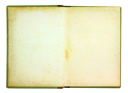 Open old book blank page