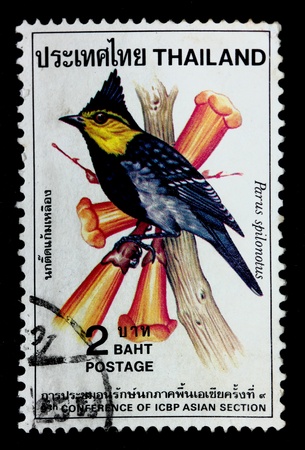 THAILAND - CIRCA 1985   A postage printed in Thailand shows image of Thai bird with the inscription  Parus Spilonotus , from 9th Conference of CBP Asian Section, CIRCA 1985の写真素材