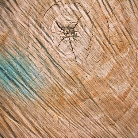 Cut of wood texture for backgroundの写真素材