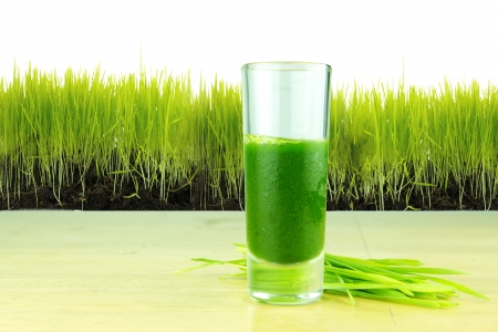 shot glass of wheatgrass with fresh cut wheat grass の写真素材