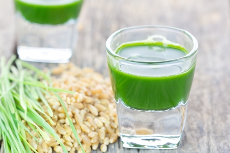 Wheat grass juice with fresh wheat grass and wheat on white backgroundの写真素材