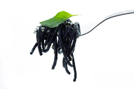 Black spaghetti on fork isolate on white backgroundの写真素材