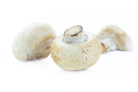 Close up Champignon on white backgroundの写真素材