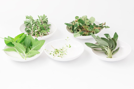 Fresh green herbs isolated over whiteの写真素材