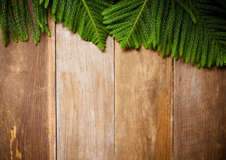 Christmas fir tree on old wooden for background