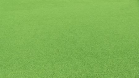 Green grass backgroundの写真素材