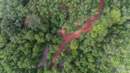 Aerial local road in mangrove forest South of Thailandの写真素材