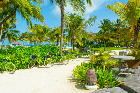 Lhaviyani Atoll, Maldives - 8 July 2018: Territory of a luxury hotel in tropical plants and trees, on the shores of the Indian Oceanのeditorial素材