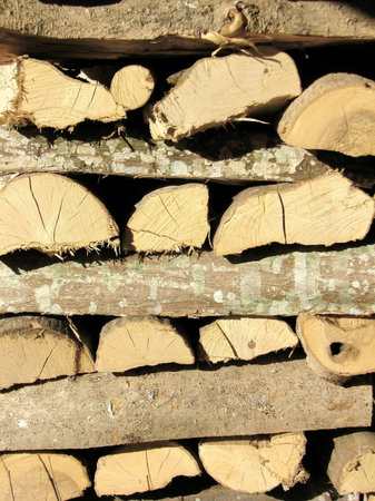 Logs