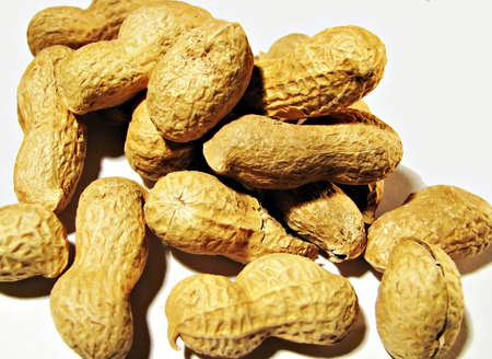 Peanutsの写真素材