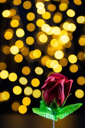 Red rose on yellow bokeh bacground. low angle. の写真素材