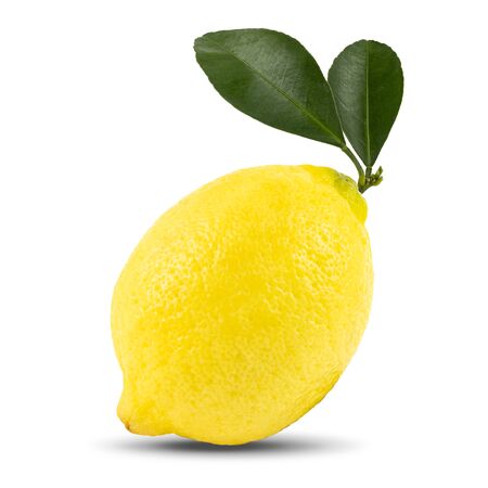 Fresh lemon fruit with leaf on isolated white backgroundの写真素材