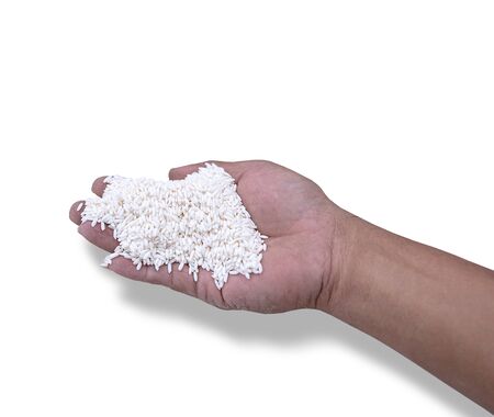 Glutinous rice grain or sticky rice in the hands of men isolated on white background. with clipping paths.の写真素材