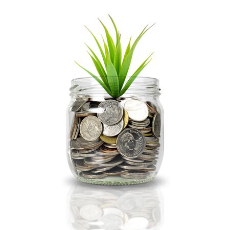 Plants growing on stacks of coins in glass jar isolated on white background. Money, saving, bussiness and investment concept. with clipping paths.の写真素材