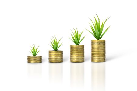 Gold coin stacks with growing plant isolated on white background. Business, finance, investment, money saving and budget concept. with clipping paths.の写真素材
