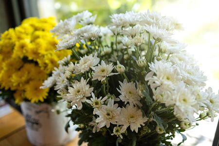 White and yellow flowers in a vintage bucket by the window with sun light.の写真素材