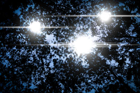 Three strange lights from the top of a tall tree. UFO light in backround.の写真素材