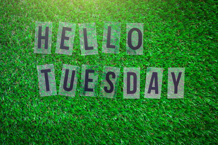 Word HELLO TUESDAY on green grass ground.の写真素材