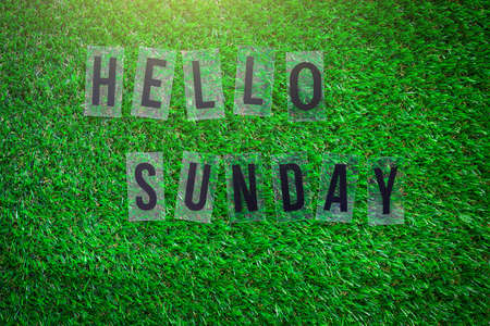Word HELLO SUNDAY on green grass ground.の写真素材