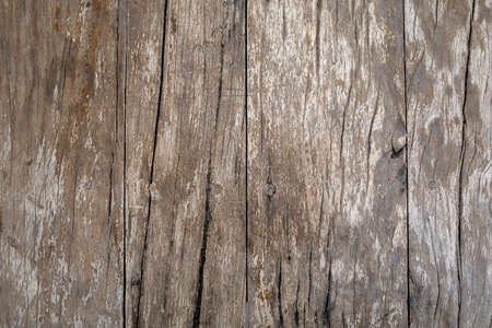 Old wood wall texture for wallpaper background.の写真素材