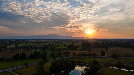 Empty countryside road through rice fields and green trees. Beautiful lanscape of evening.の写真素材