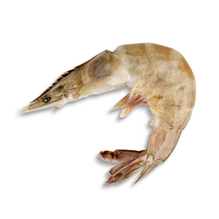 Fresh shrimp isolated on white background.の写真素材