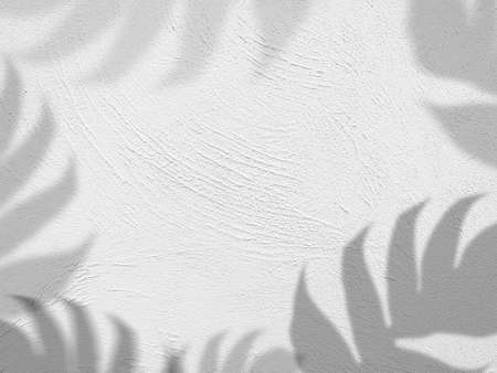 Abstract shadow background of natural philodendron leaves on white wall texture for background and wallpaper.の写真素材