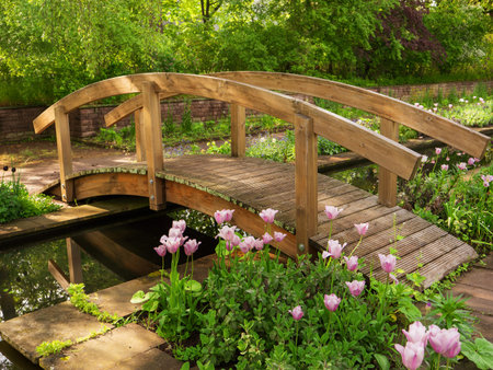 Wooden Japanese bridge close-up and blooming tulips in the park Dowesee, Braunschweig. Beautiful nature, environmental protection, rest and relaxation.の写真素材